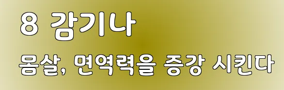  8 감기나 몸살, 면역력을 증강 시킨다