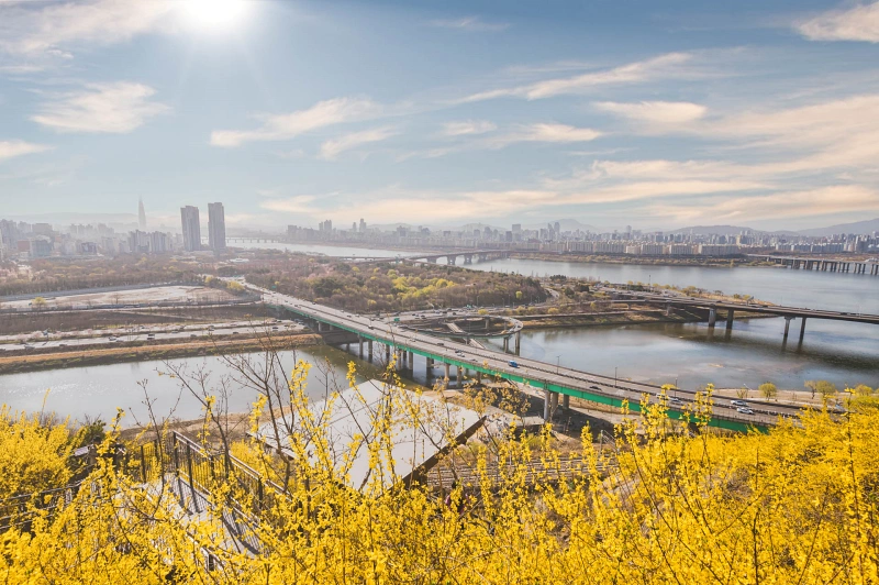  개나리 응봉산에서 본 서울 풍경