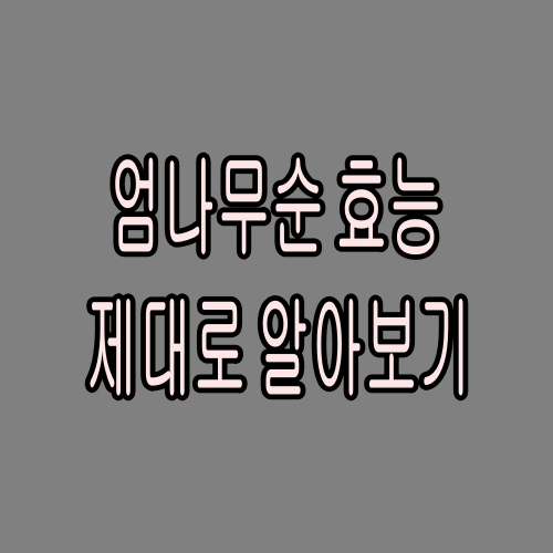  엄나무순 효능 이렇게나 다양했다니