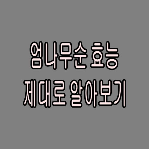 엄나무순효능-제대로알아보기