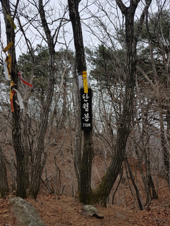 한강기맥 (농다치고개, 소구니산, 31