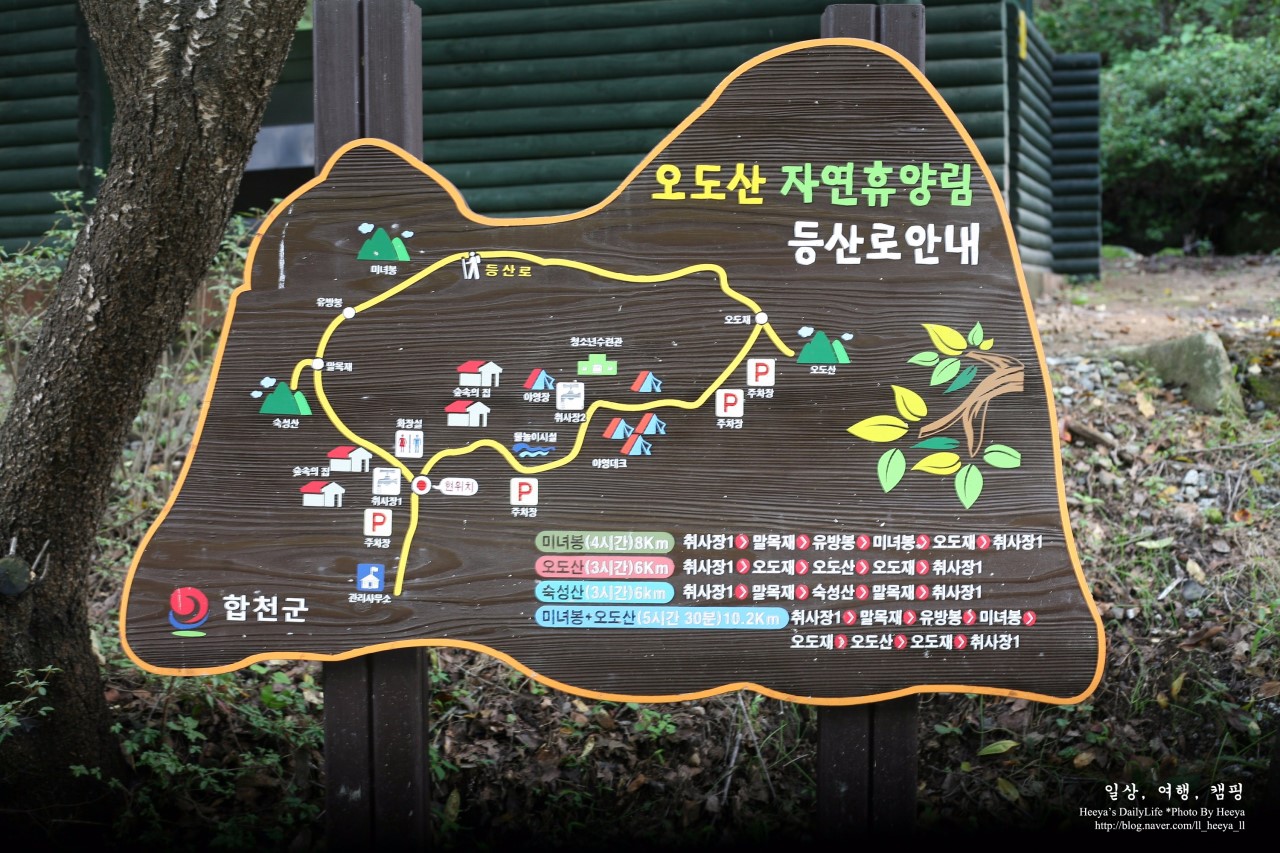 오도산 자연휴양림 이미지