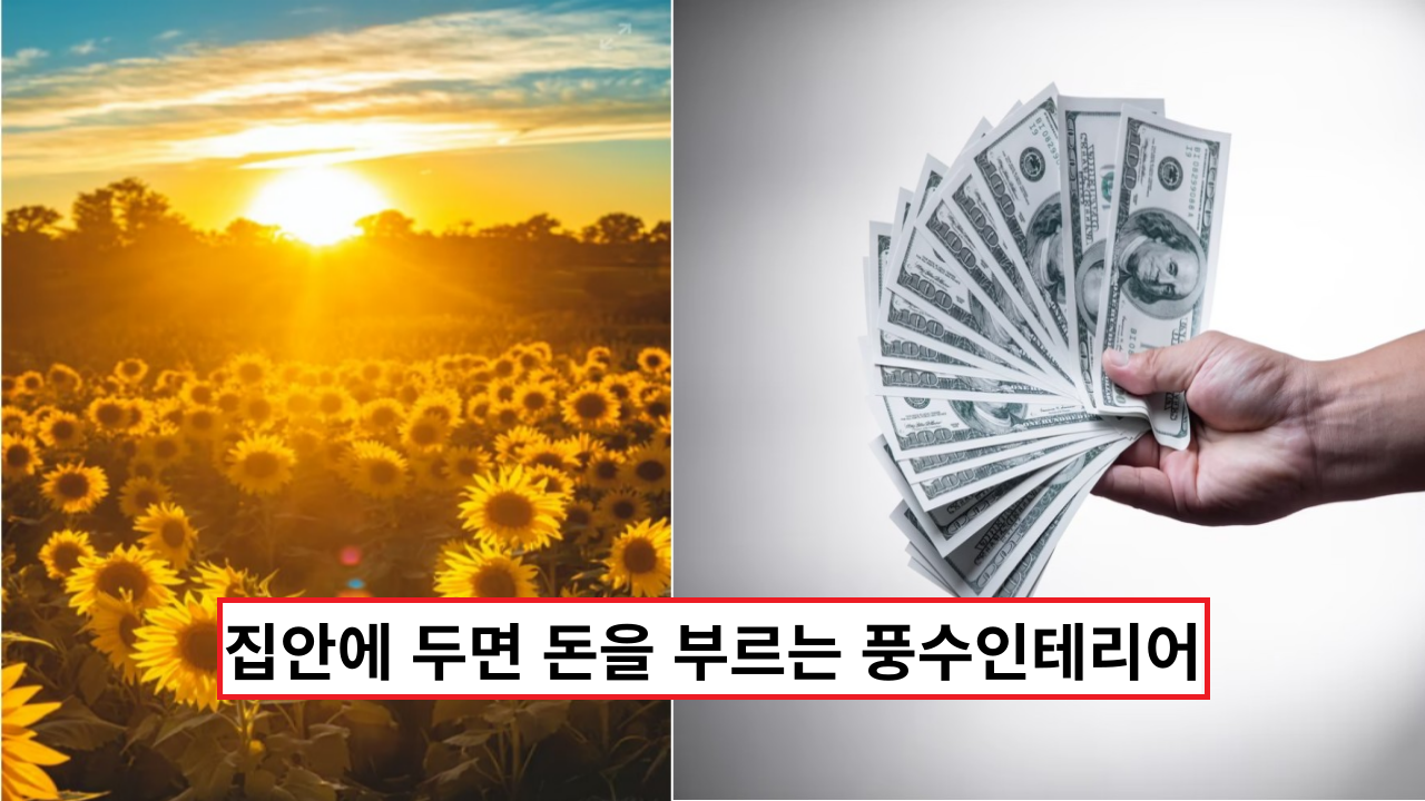  '집에 이건 두지 마세요' 재물운을 빼앗는 안좋은 물건