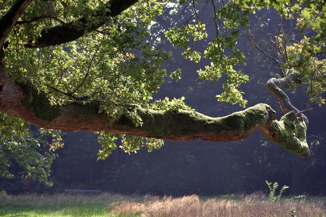 Symbiosis