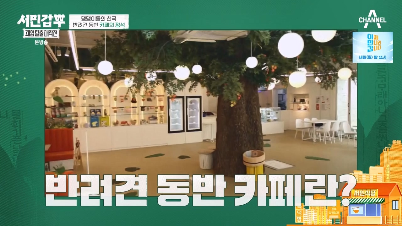 서민갑부 폐업 탈출 대작전.E11.230931p-NEXT.mp4_20231001_181019.916.jpg