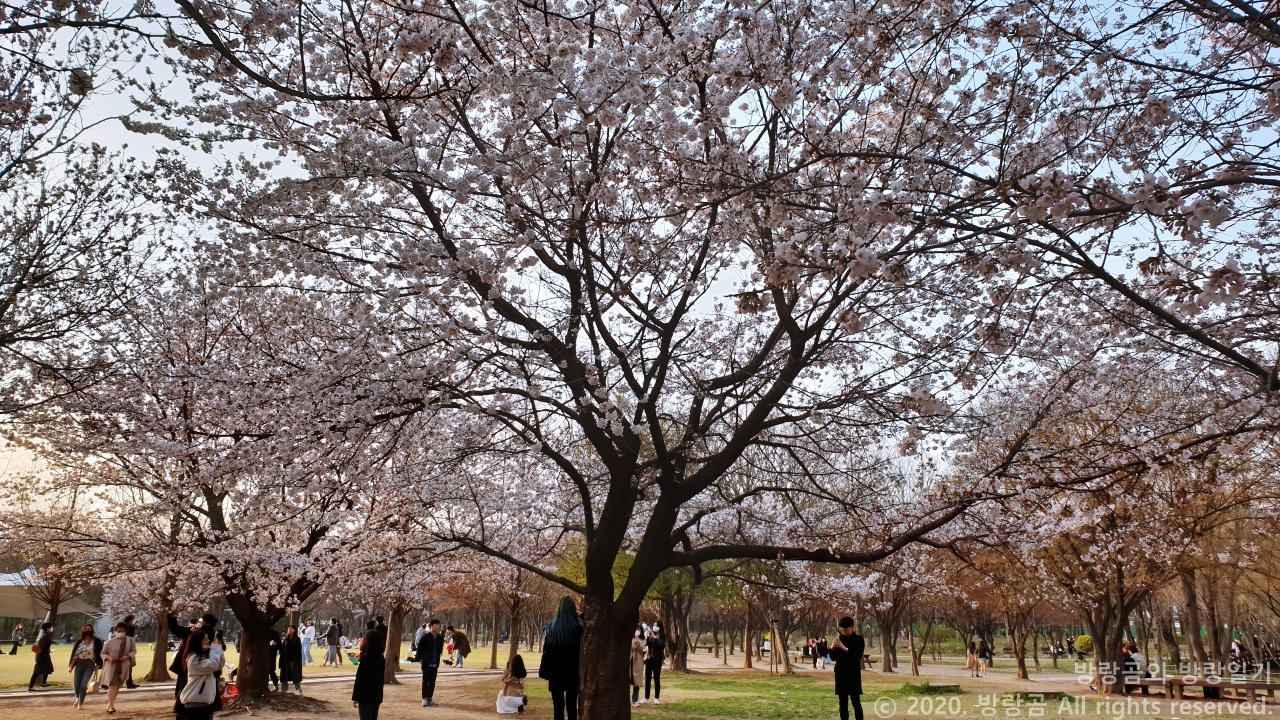 서울숲의 봄