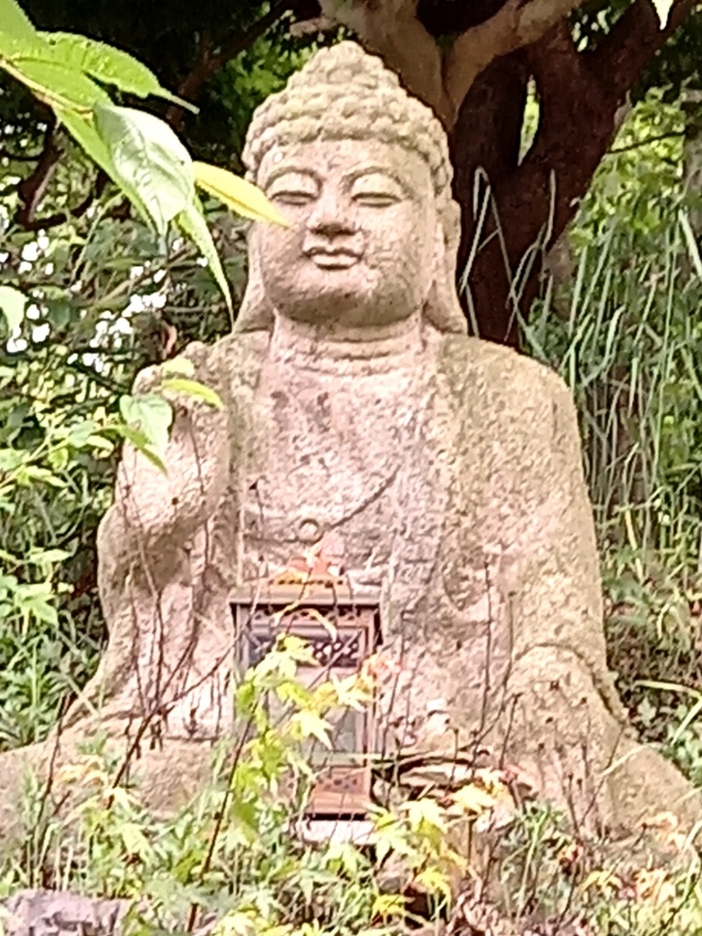 img.jpg