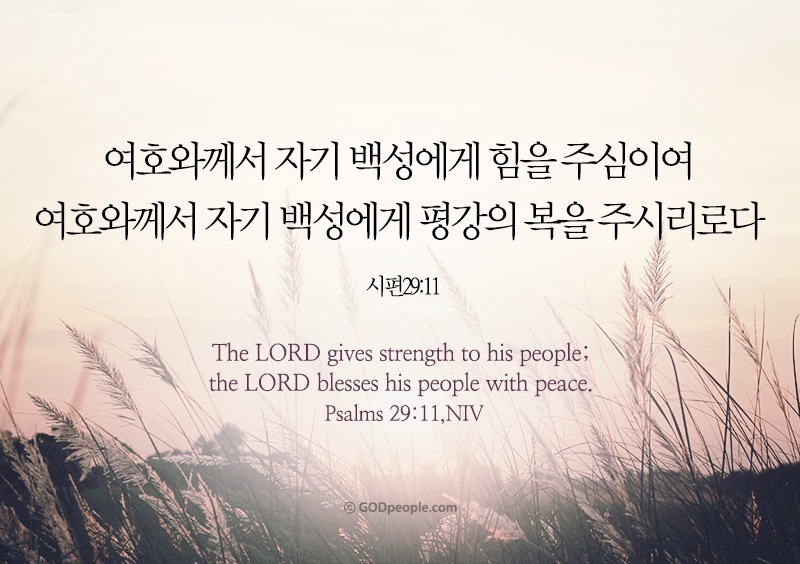 시편 29편 11 위로가 필요할 때 힘이 되는 성경구절