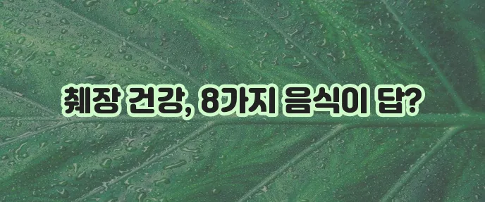 췌장에 좋은 음식 8가지 꼭 알아봐야 합니다!
