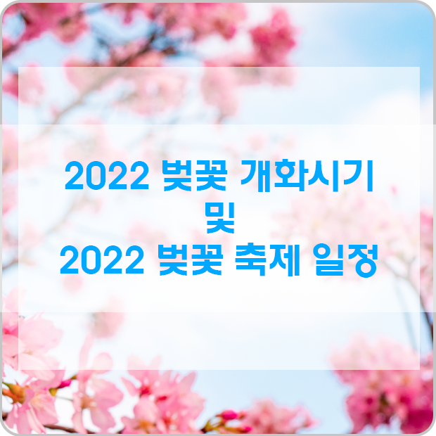  2022 벚꽃 개화시기! 올해 벚꽃 축제 어디 지역으로 갈까?