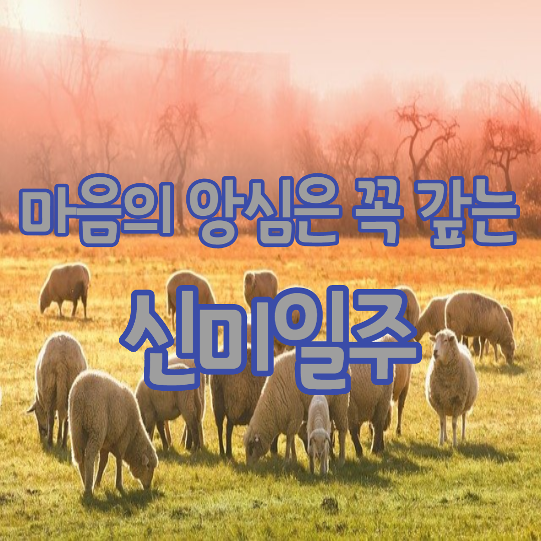  8. 마음의 앙심은 꼭 갚고야마는 신미일주