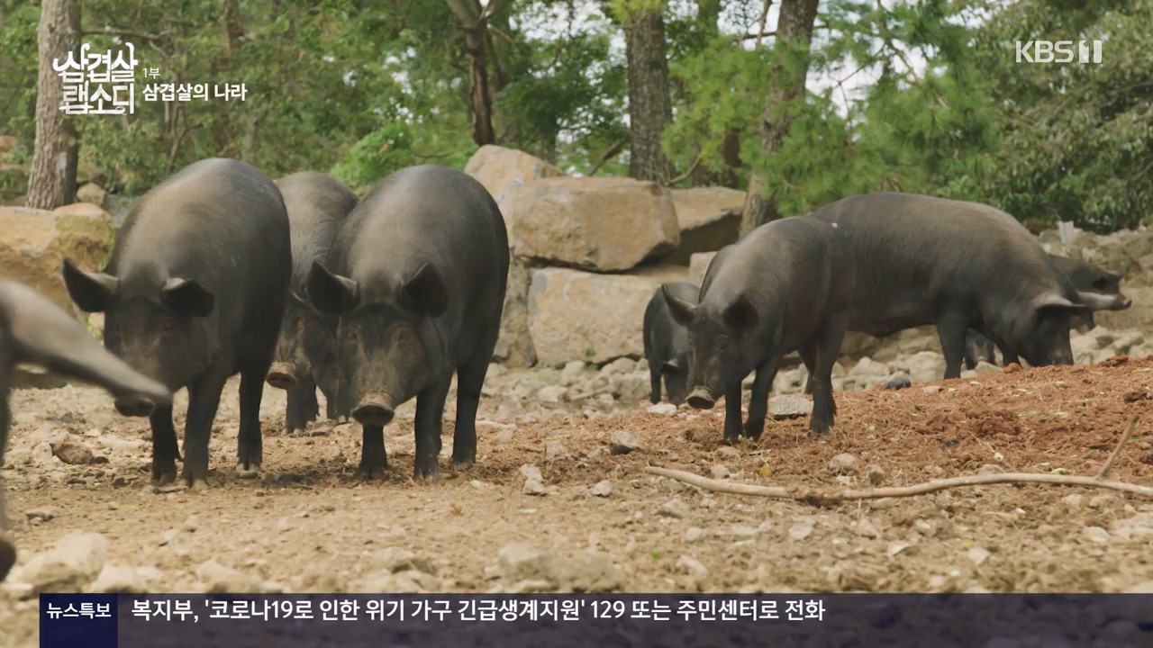 삼겹살 랩소디.E01.201221p-NEXT.mp4_20240221_201711.304.jpg