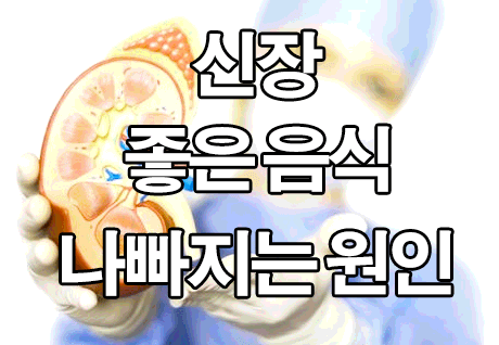  신장에 좋은 음식 : 콩팥, 나빠지는 원인