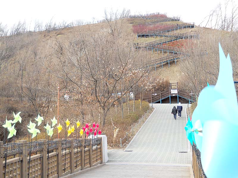 마포구 상암동 하늘공원(Haneul Park)