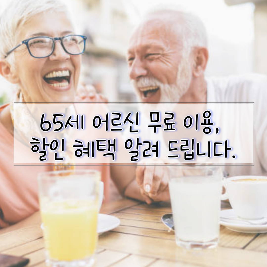 65세어르신무료이용