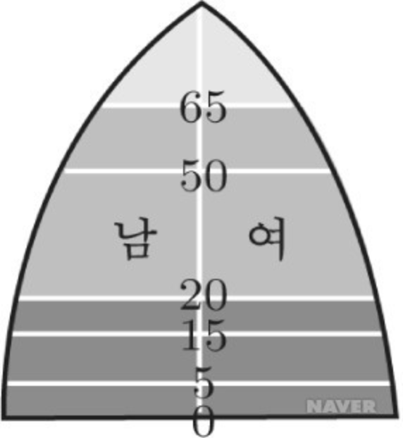 인구구조-종형