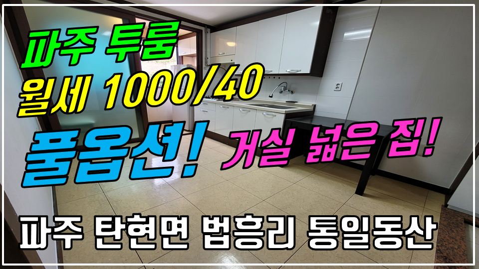  파주 탄현면 법흥리 투룸 월세 1000/40만 인터넷완비 풀옵션 개방감 좋은 깔끔한 넓은 투룸, 통일동산 파주영어마을 투룸 임대