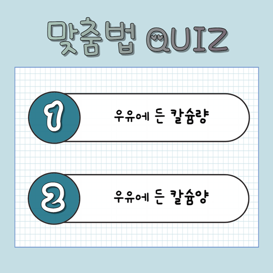 칼슘양 퀴즈