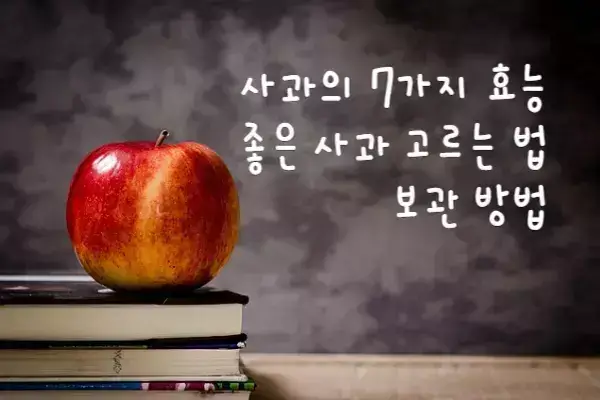 사과의 효능