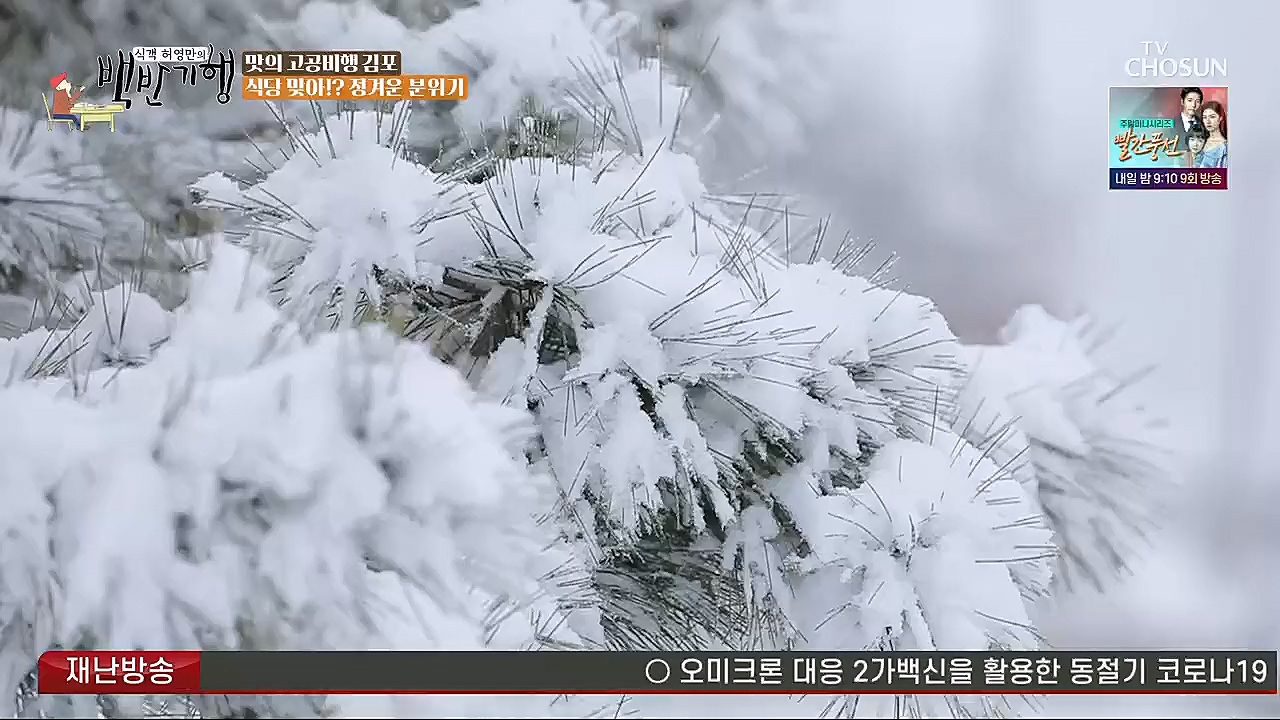 식객 허영만의 백반기행.E184.230114p.H264-F1RST.mp4_20230114_193734.992.jpg