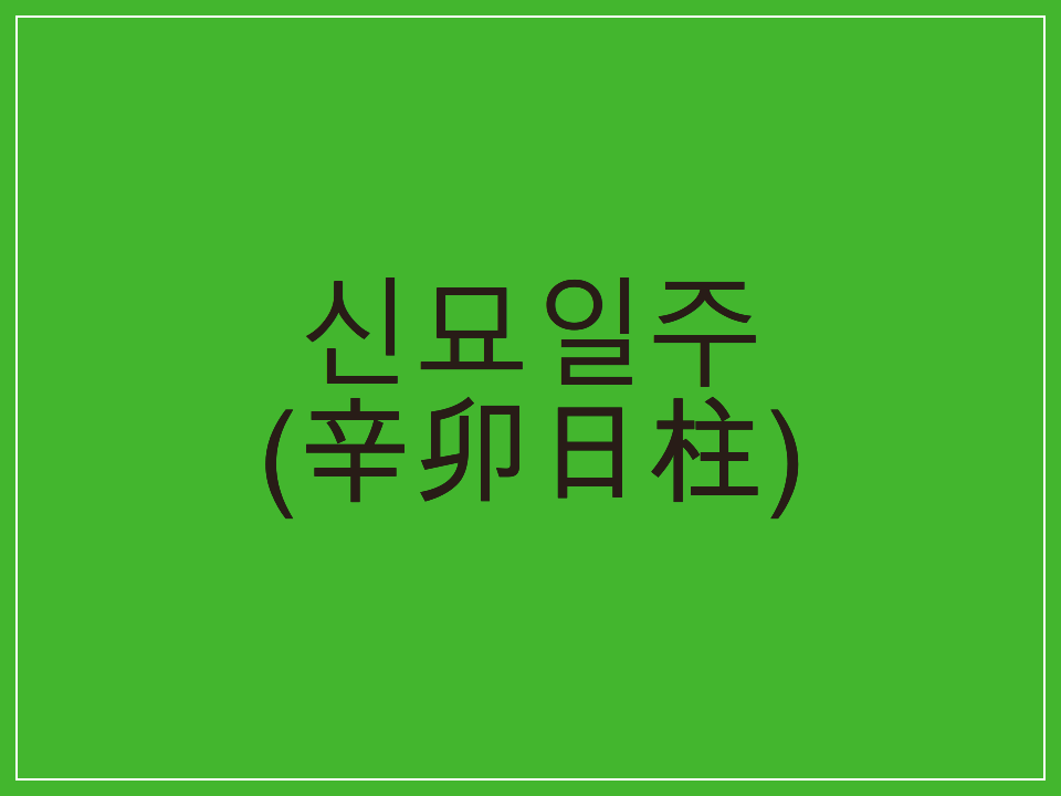  신묘일주(辛卯日柱) 일주론 요약