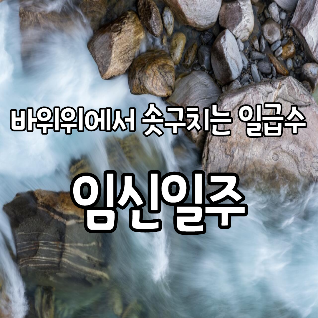  9. 바위위에서 솟구치는 일급수의 물, 임신일주