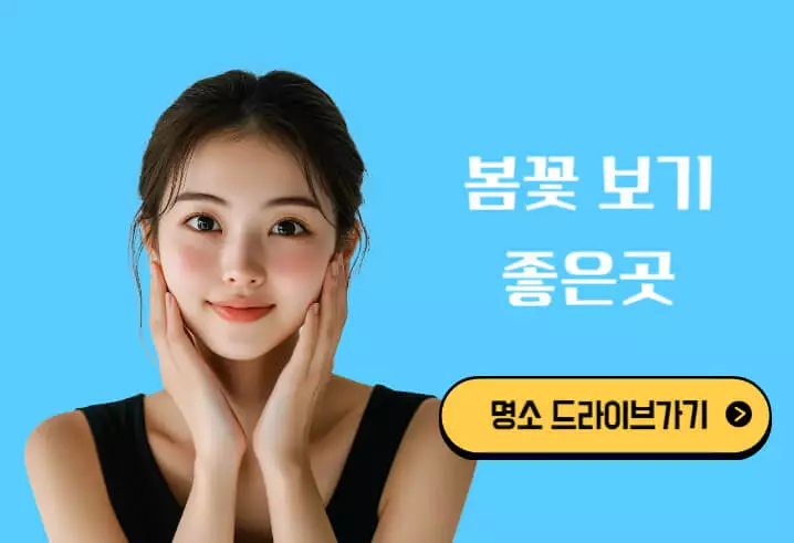 봄꽃 보기 좋은곳 드라이브