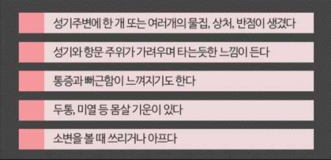  유명유튜버 논란이 되고 있는데요. 헤르페스 란 무엇일까요?(헤르페스 증상)