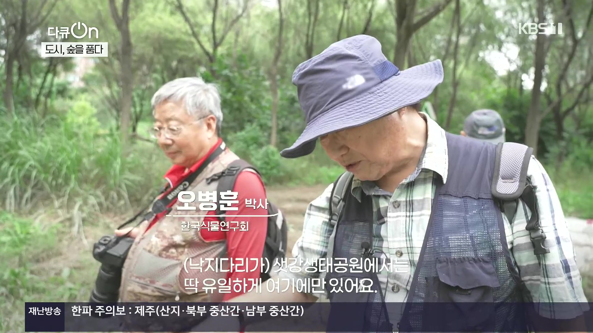 다큐 On.E232.231216p.H264-F1RST.mp4_20231220_204910.856.jpg