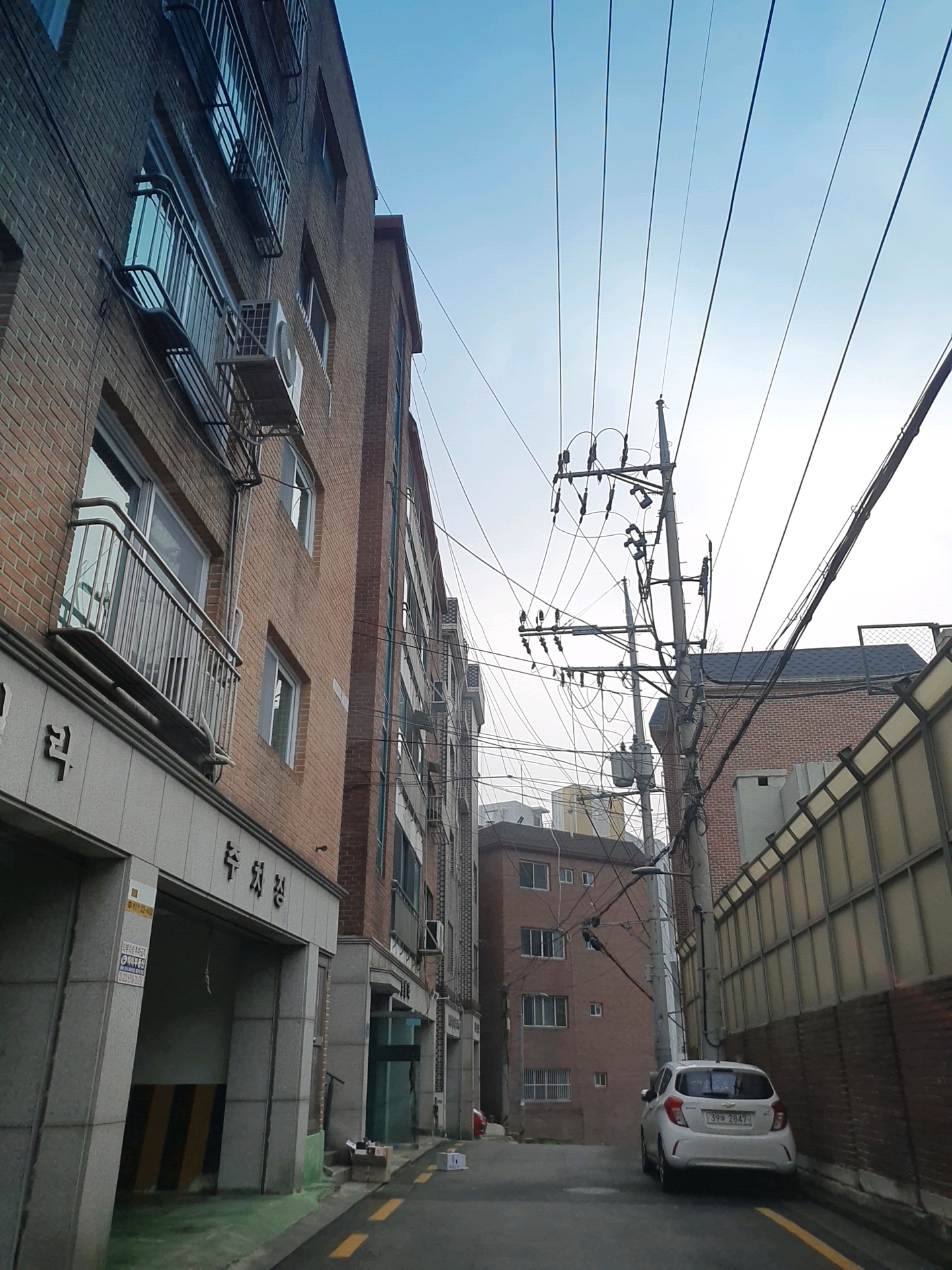 사직동 구경