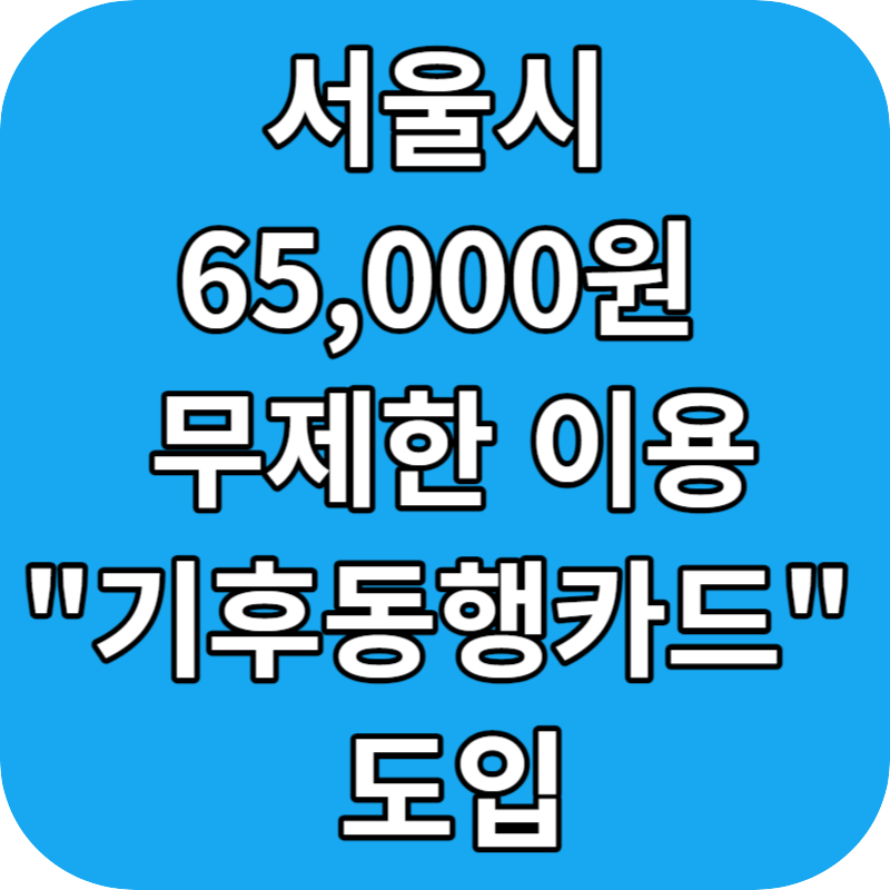 서울시 기후동행카드