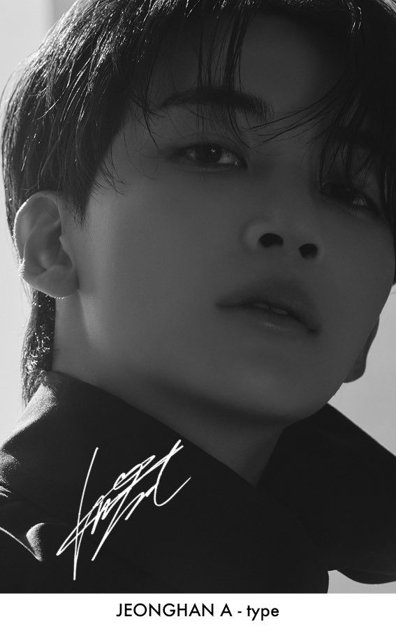 배송지연공지디아이콘유닛정한acut