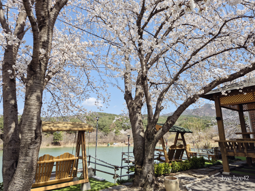 img src=&quot;cherry_blossoms_spring_day.jpg&quot; alt=&quot;봄날의 벚꽃이 흐드러지게 피어있는 풍경&quot;