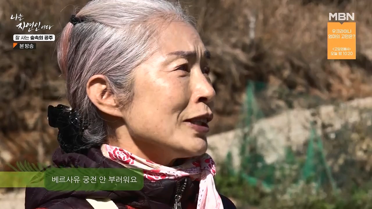 나는 자연인이다.E582.231130p-NEXT.mp4_20231130_200814.391.jpg