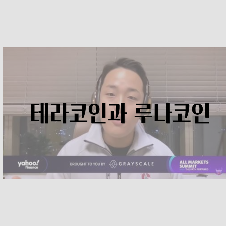  테라 코인, 루나 코인 폭락(테라 도권대표)