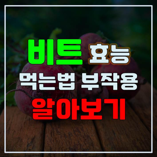 썸네일-비트-효능-먹는법-부작용-알아보기