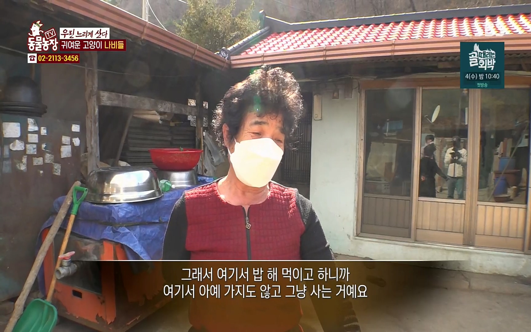 TV 동물농장.E1067.220501p.H264-F1RST.mp4_20220501_183626.680.jpg
