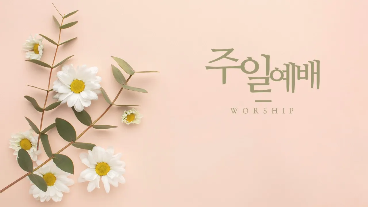 봄 주일예배 ppt 배경화면 꽃 이미지_9