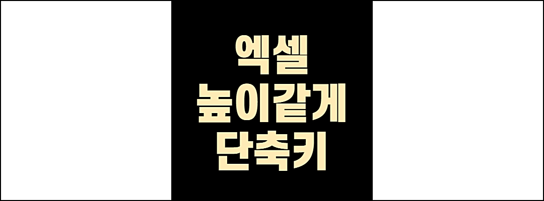 엑셀행높이같게1