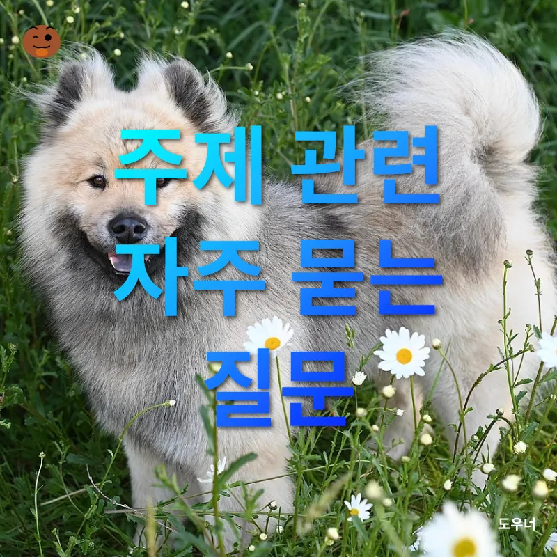 원예 반려식물_3_subsection