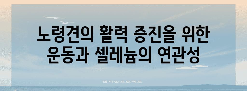 노령견의 활력 증진을 위한 운동과 셀레늄의 연관성