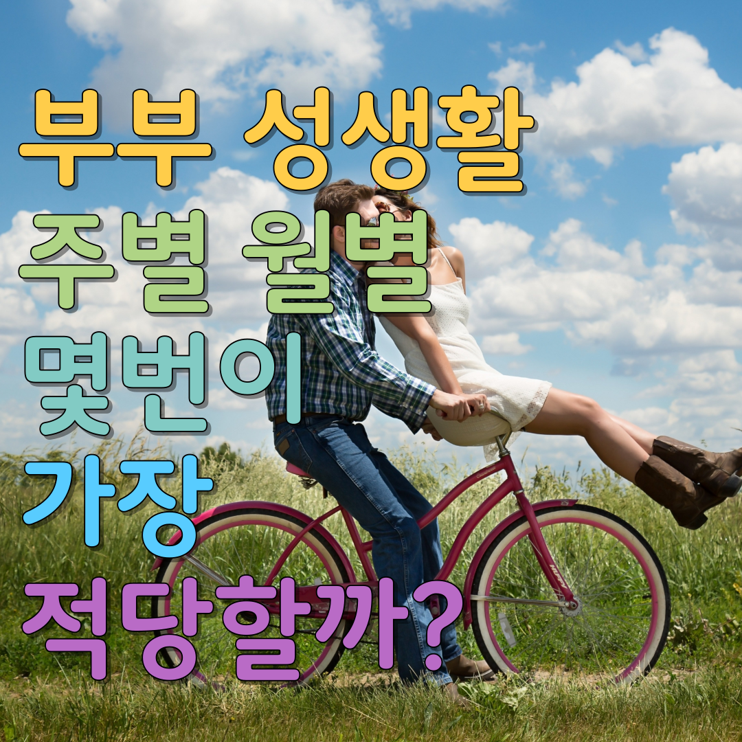  부부 성생활 주별 월별 몇번이 가장 적당할까?