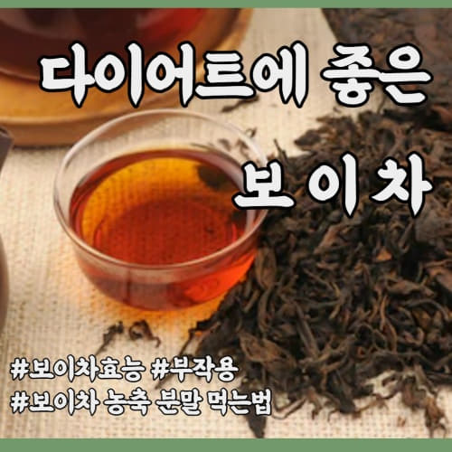  다이어트에 좋은 보이차 효능 부작용/보이차 끓이는방법 보이차 농축 분말 먹는방법 좋은 보이차 고르는 방법