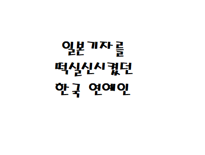  일본기자를 떡실신시켰던 한국 연예인