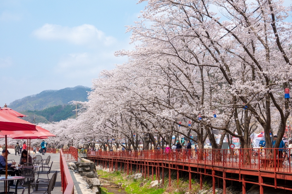 경기도 벚꽃 명소 추천