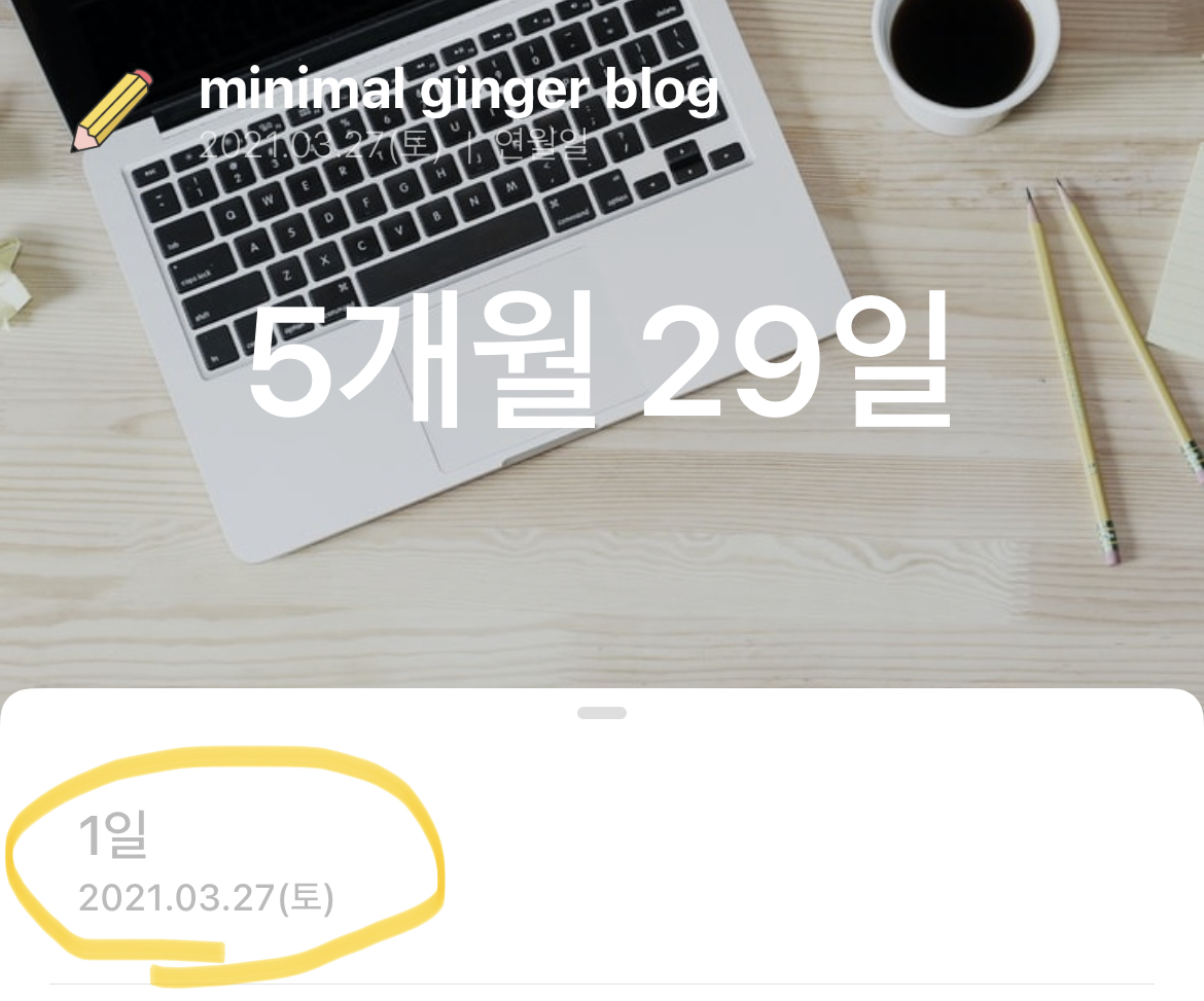 블로그-만든-날짜-기록