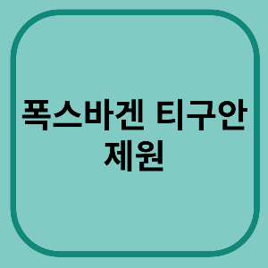 폭스바겐티구안