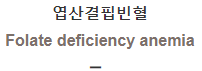  엽산결핍빈혈 [Folate deficiency anemia]