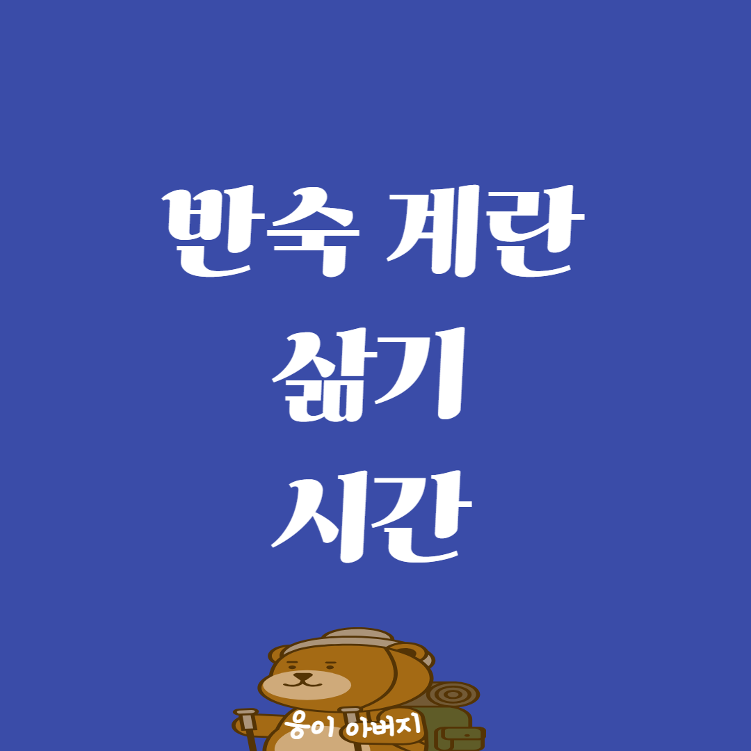 반숙 계란 삶기 시간 꼭확인해야되네요1