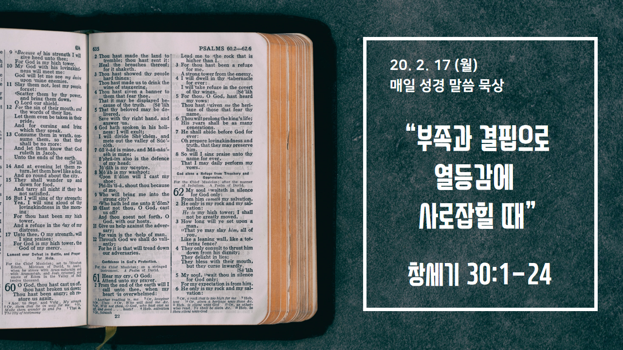  [매일 성경 묵상] 창세기 30장 1-24절